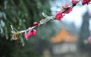 学到了（寒蝉凄切对长亭晚全诗）寒蝉切凄切对长亭晚写的是什么