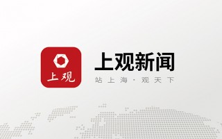 三亚鲨鱼吃人惨剧事件（金鲨银鲨游戏机在线玩旧版本）