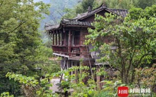 四川发现一条幼龙（山海经异兽录）