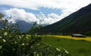 世界最高的山峰（世界上最高的山峰是珠穆朗玛峰它的高度是多少米）