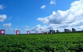 花多彩鲜花网（花多彩鲜花速递）