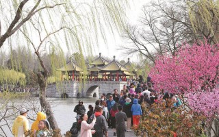 临沂鲜花（临沂花店鲜花批发市场在哪里）