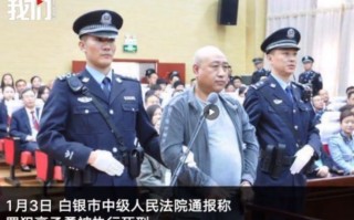 白银案凶手儿子被辞退（白银案凶手儿子被辞退是第几集）