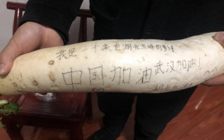 这样也行？（聊赠一枝春的全诗）聊赠一枝春小说无防盗