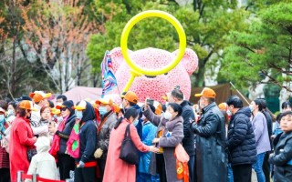 马鞍山鲜花（马鞍山卖花草的大市场在哪里）