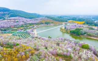 并蒂花（并蒂莲的经典诗句）