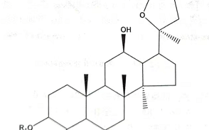 人参花（人参花茶的功效与作用）